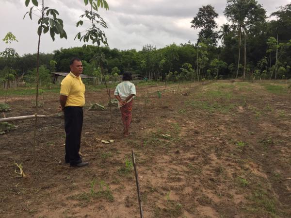 1. โครงการจัดกระบวนการเรียนรู้เศรษฐกิจพอเพียง การปลูกพืชผักสวนครัว ตำบลแก้วแสน